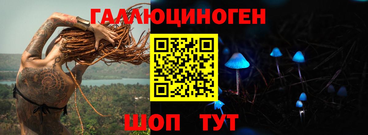 Алейск  Псилоцибиновые грибы Magic Shrooms  Псилоцибиновые грибы Cubensis  Вход с VPN 