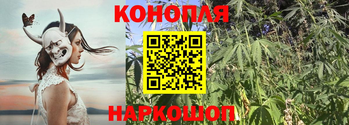 Марихуана семена  Бошки марихуана конопля  Вход с VPN  Алейск 